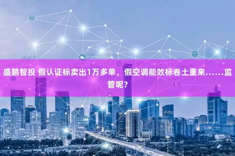 盛鹏智投 假认证标卖出1万多单，假空调能效标卷土重来……监管呢？